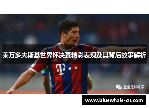 莱万多夫斯基世界杯决赛精彩表现及其背后故事解析