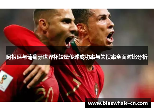阿根廷与葡萄牙世界杯较量传球成功率与失误率全面对比分析