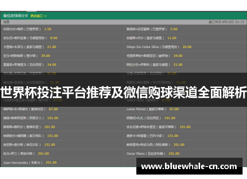世界杯投注平台推荐及微信购球渠道全面解析