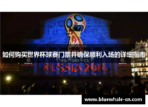 如何购买世界杯球赛门票并确保顺利入场的详细指南