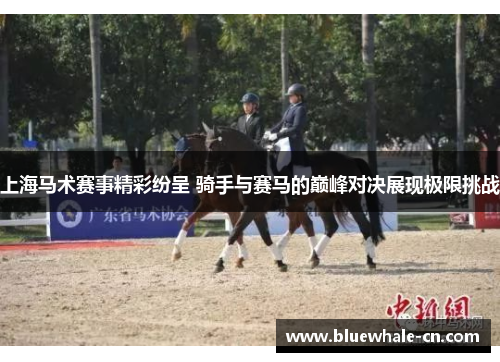 上海马术赛事精彩纷呈 骑手与赛马的巅峰对决展现极限挑战