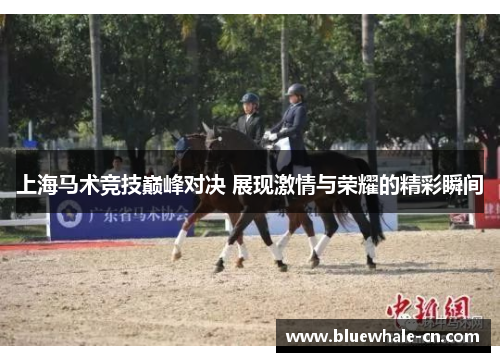 上海马术竞技巅峰对决 展现激情与荣耀的精彩瞬间