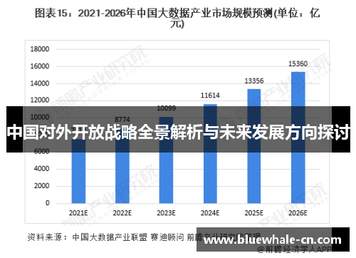 中国对外开放战略全景解析与未来发展方向探讨
