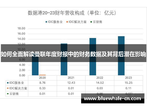 如何全面解读曼联年度财报中的财务数据及其背后潜在影响
