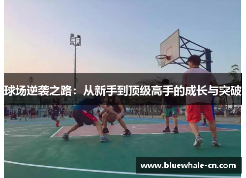 球场逆袭之路：从新手到顶级高手的成长与突破