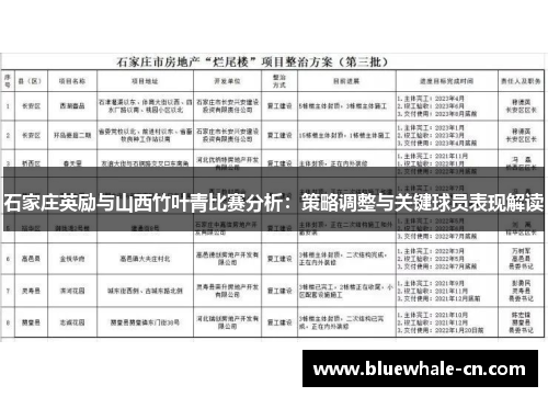 石家庄英励与山西竹叶青比赛分析：策略调整与关键球员表现解读