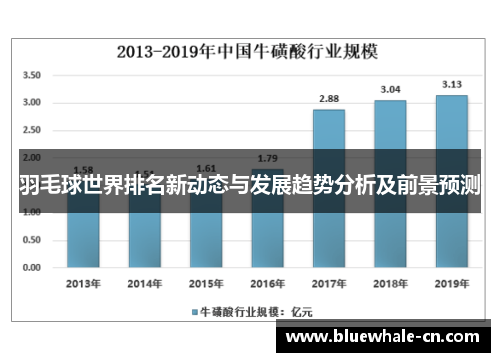 羽毛球世界排名新动态与发展趋势分析及前景预测